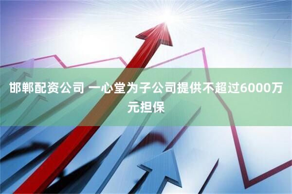 邯郸配资公司 一心堂为子公司提供不超过6000万元担保