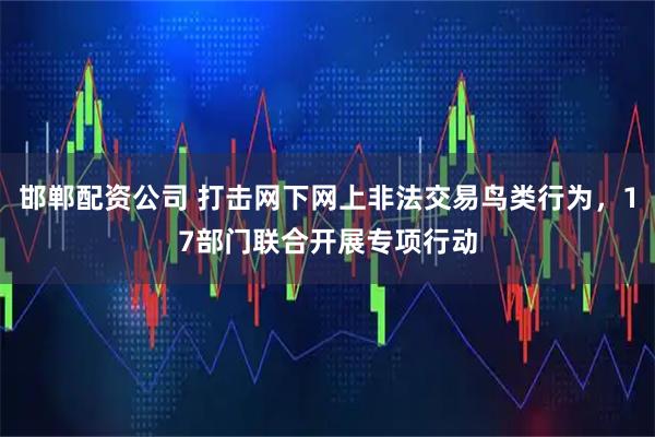 邯郸配资公司 打击网下网上非法交易鸟类行为，17部门联合开展专项行动